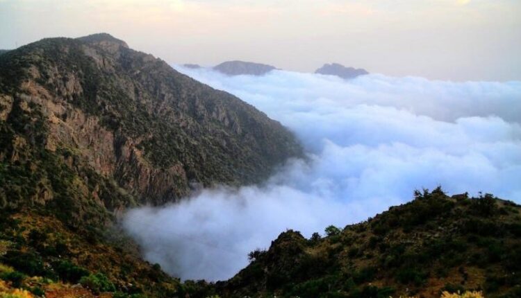 جبل السودة في أبها